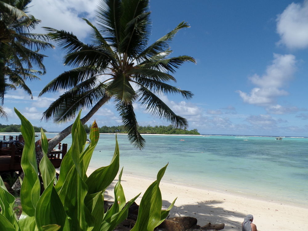 Muri Beachcomber Rarotonga Esterno foto